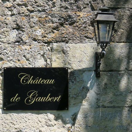 Chateau De Gaubert Bed & Breakfast Terrasson-Lavilledieu Exterior photo