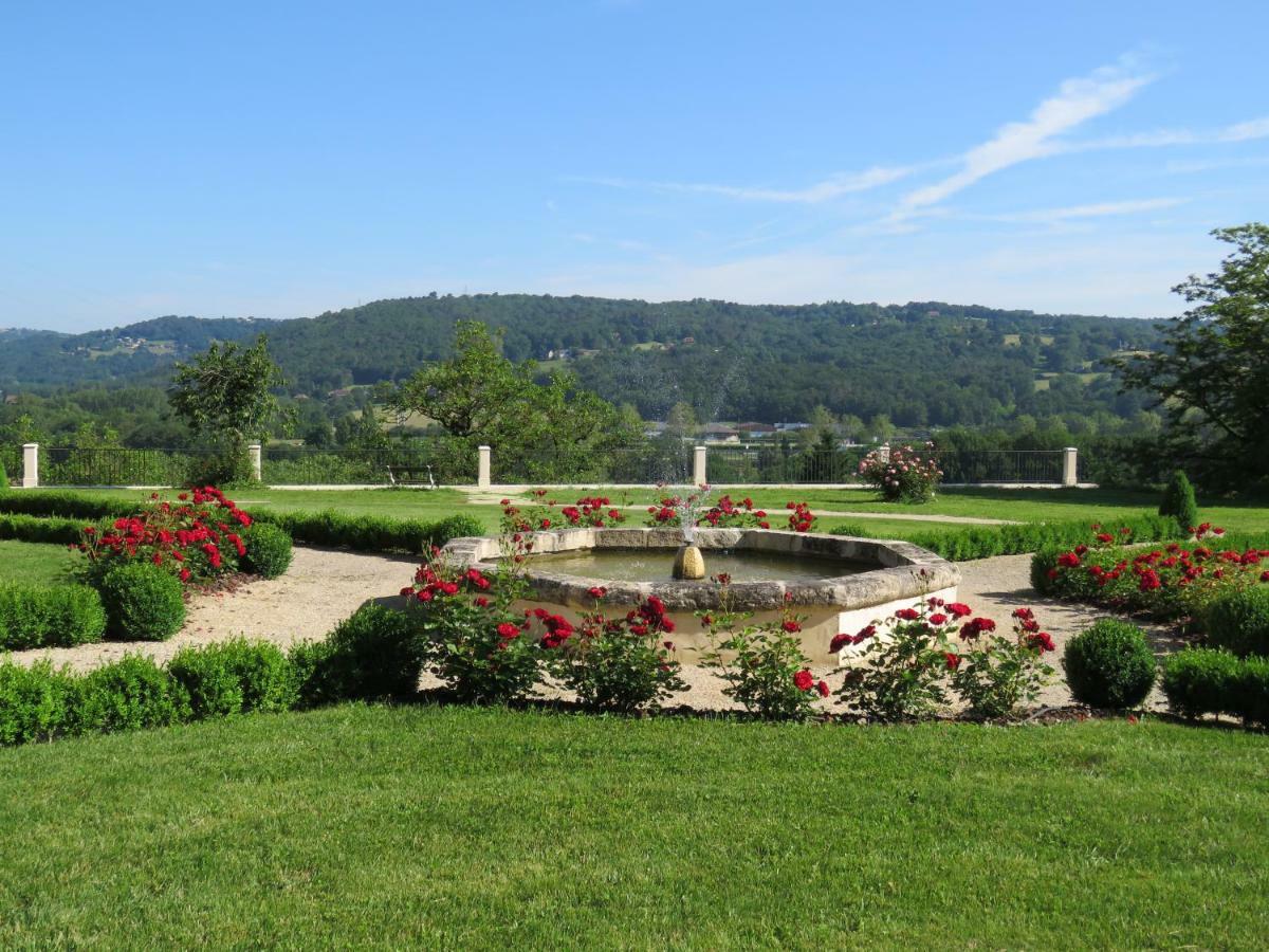 Chateau De Gaubert Bed & Breakfast Terrasson-Lavilledieu Exterior photo