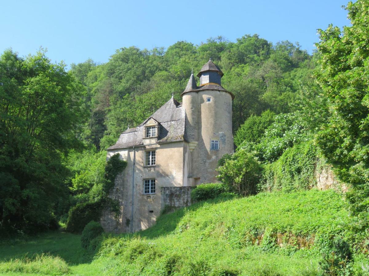 Chateau De Gaubert Bed & Breakfast Terrasson-Lavilledieu Exterior photo